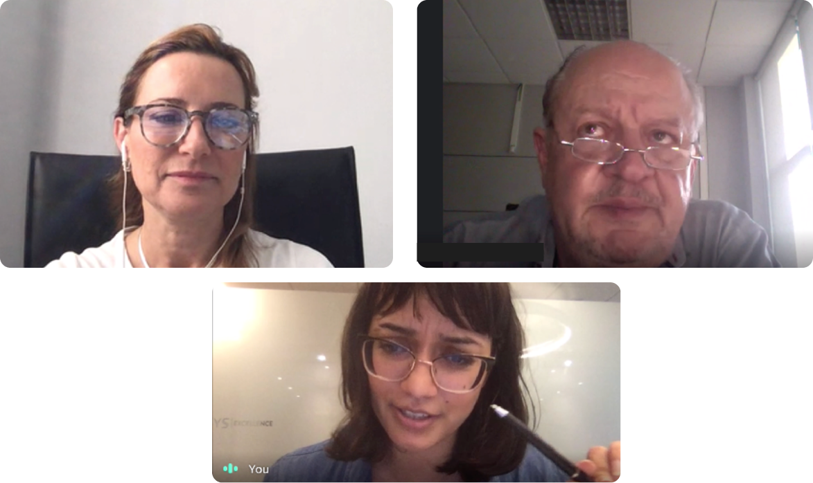 Screenshot of interviewing users